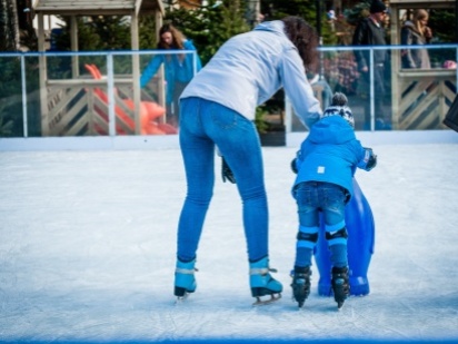 Family SKATE